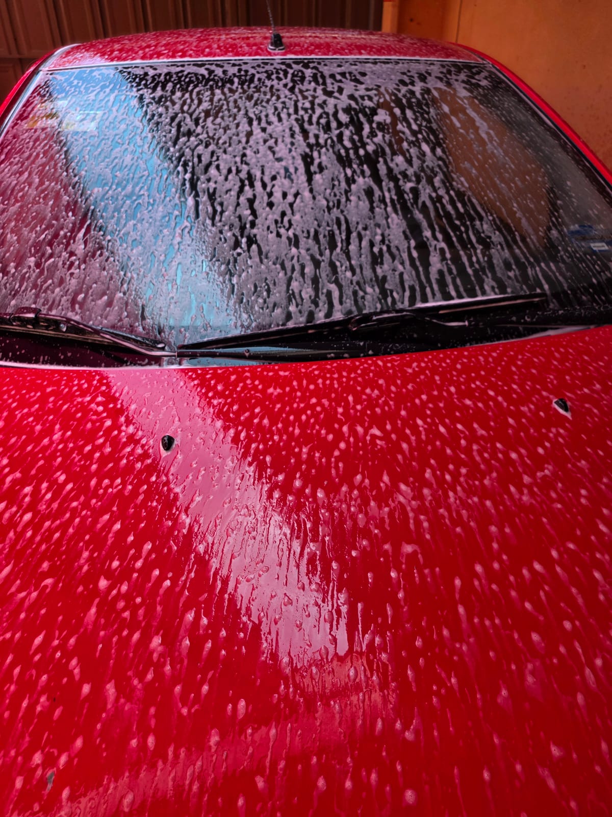 Pulido de pintura profesional con acabado espejo en auto rojo en Querétaro - DetailingHouse